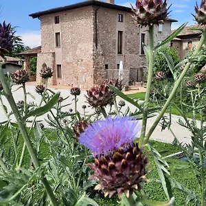 Corte Davini Farma Monzambano
